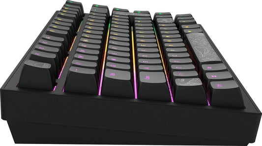 Dark Project ALU Terra Nostra – ISO (DE) Mechanische Gaming-Tastatur – Schwarz