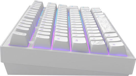 Dark Project ALU Terra Nostra – ISO (DE) Mechanische Gaming-Tastatur – Weiß