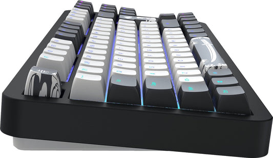 Dark Project ALU Bushido – Mechanische Gaming-Tastatur ISO (DE)