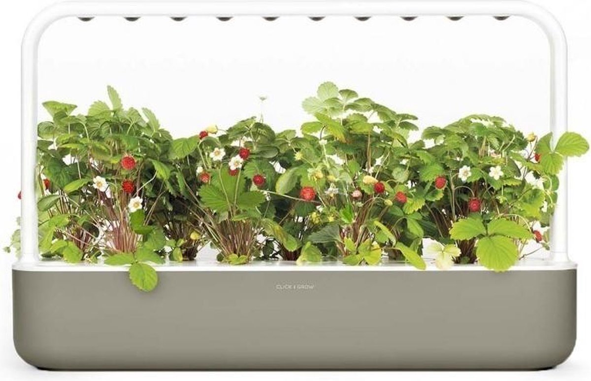 Click & Grow Smart Garden 9 Gris Foncé + Recharge Cuisine Asiatique (9 Capsules)