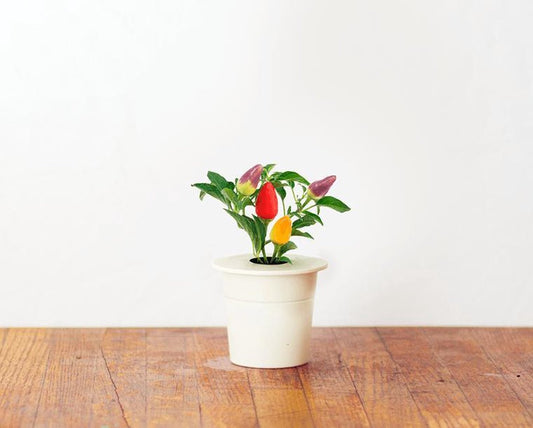 Click & Grow Navulling Chilipeper – 3 Stuks – Slimme Moestuin