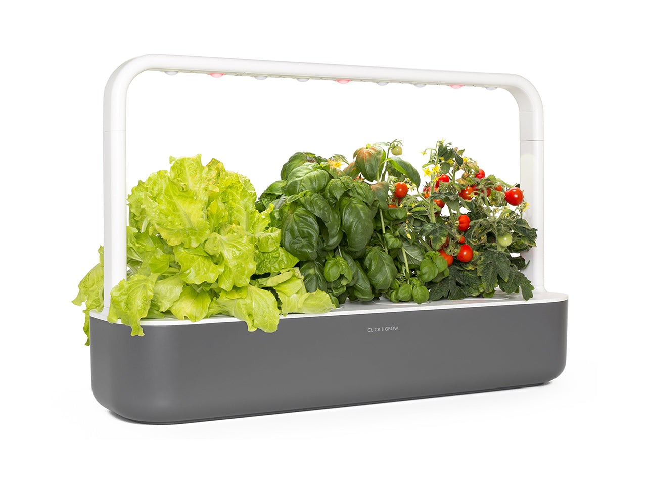 Click & Grow Smart Garden 9 Gris Foncé + Recharge Cuisine Asiatique (9 Capsules)