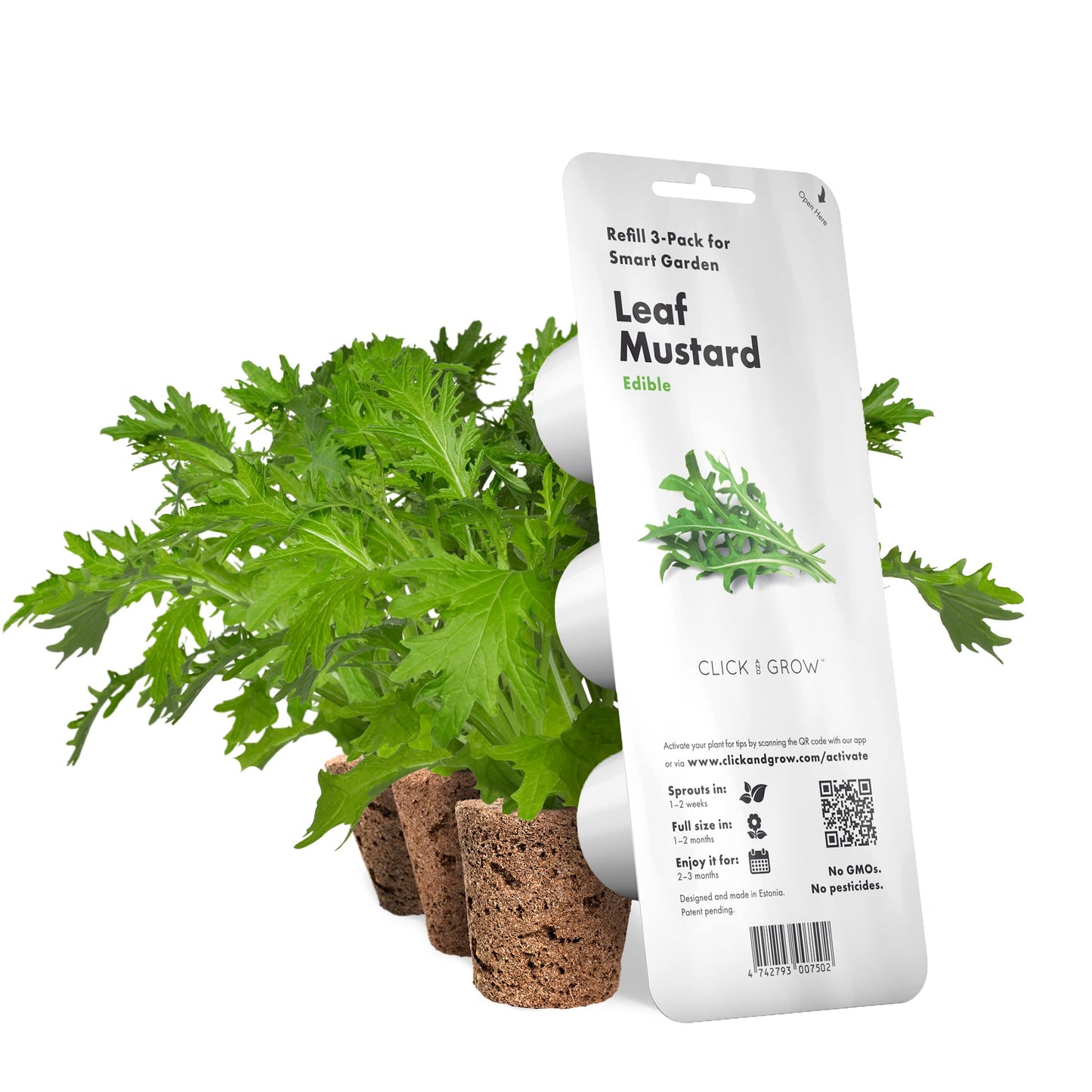 Click & Grow Bladmosterd / 3-pack – Voorgezaaide capsules voor slimme binnentuin