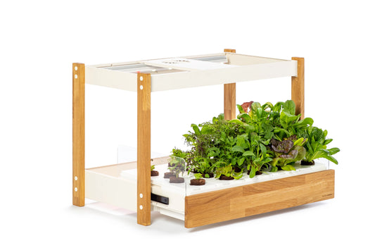 Click & Grow 25 – Indoor-Gemüsegarten – 25 Standorte