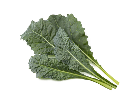 Click & Grow Italian Kale / 3-pack