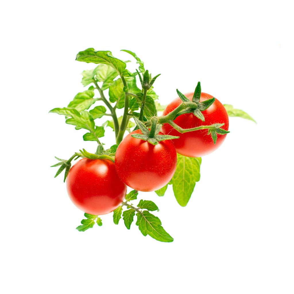 Click & Grow Kirschtomaten-Nachfüllpackung – 3 Kapseln für Smart Garden