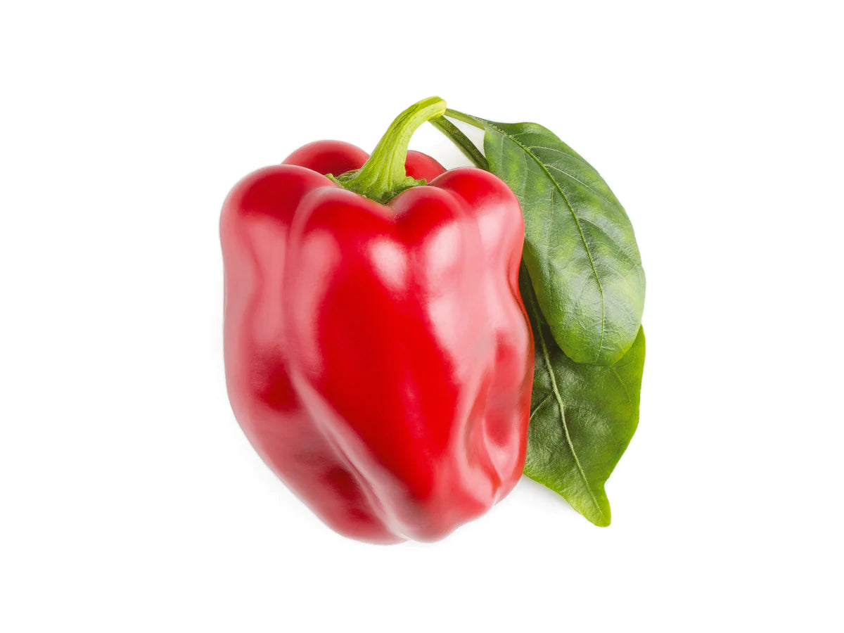 Click & Grow Rote Paprika / 3er-Pack