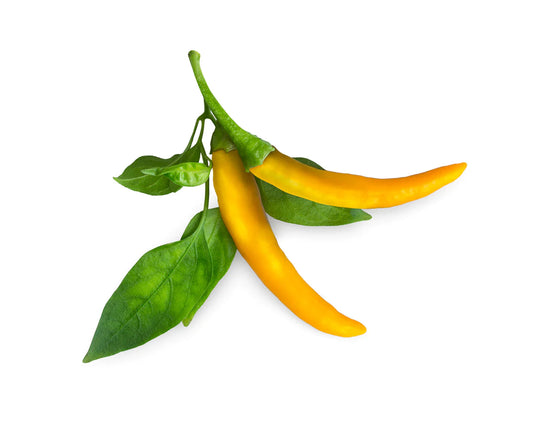 Click & Grow Yellow Chili Pepper / 3-pack