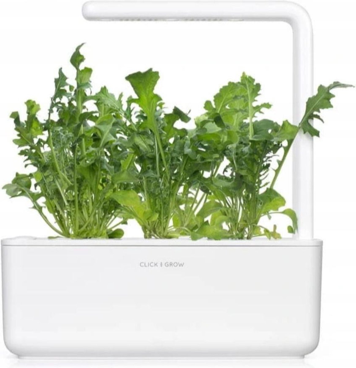 Click & Grow Rucola / 3-pack – Voorgezaaide capsules voor slimme binnentuin