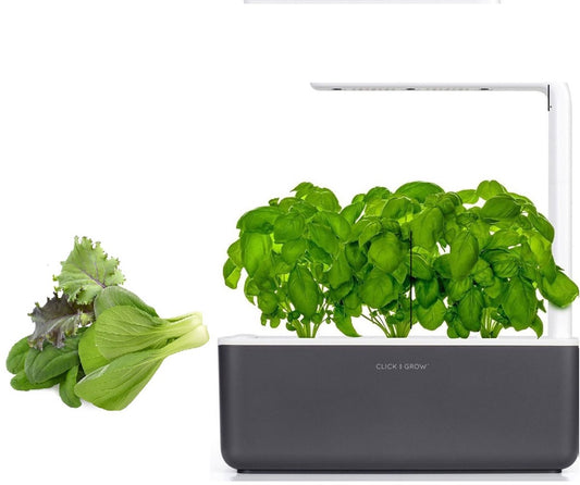 Click & Grow Smart Garden 3 Dark Grey + Asian Cuisine Refill (9 Capsules)