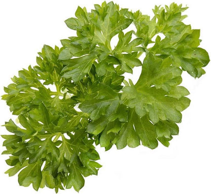 Click & Grow Persil / 3-pack – Capsules de persil prêtes à l’emploi pour jardin d’intérieur