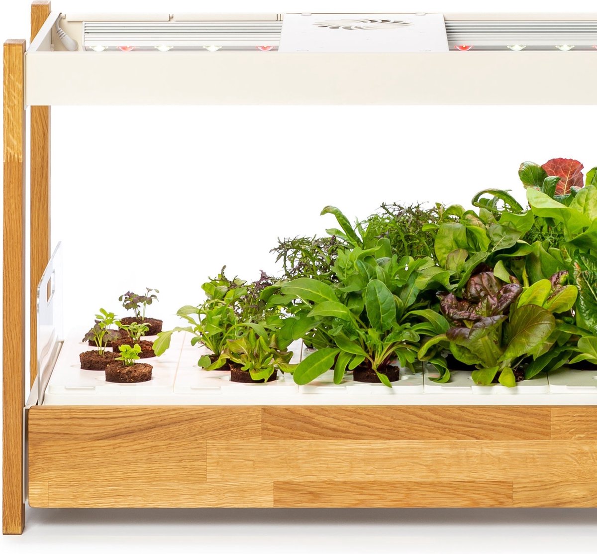 Click & Grow 25 – Slimme Indoor Moestuin – 25 Plantplekken