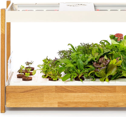 Click & Grow 25 – Slimme Indoor Moestuin – 25 Plantplekken