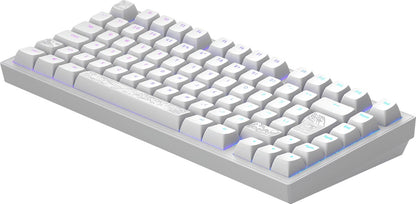 Dark Project ALU Terra Nostra – ISO (DE) Mechanische Gaming-Tastatur – Weiß