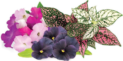 Click & Grow Navulling Kleurrijke Bloemenmix – 9 Capsules (3x3) – Slimme Moestuin