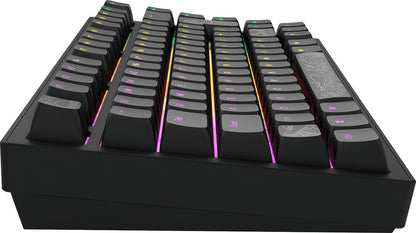 Dark Project ALU Terra Nostra – ISO (DE) Mechanische Gaming-Tastatur – Schwarz