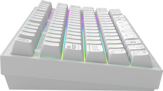 Dark Project – ALU Terra Nova – ISO Kabellose mechanische Gaming-Tastatur (DE) – Weiß