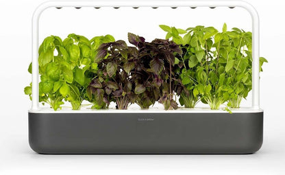 Click & Grow Smart Garden 9 Gris Foncé + Recharge Mix de Basilics (9 Capsules)