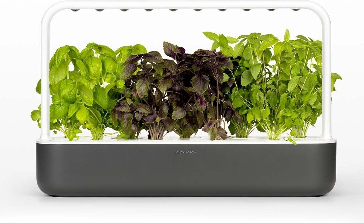 Click & Grow Smart Garden 9, Donkergrijs – Slimme binnentuin met automatische LED-verlichting