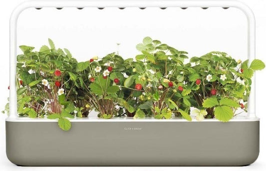 Click & Grow Smart Garden 9 Dark Grey + Asian Cuisine Refill (9 Capsules)
