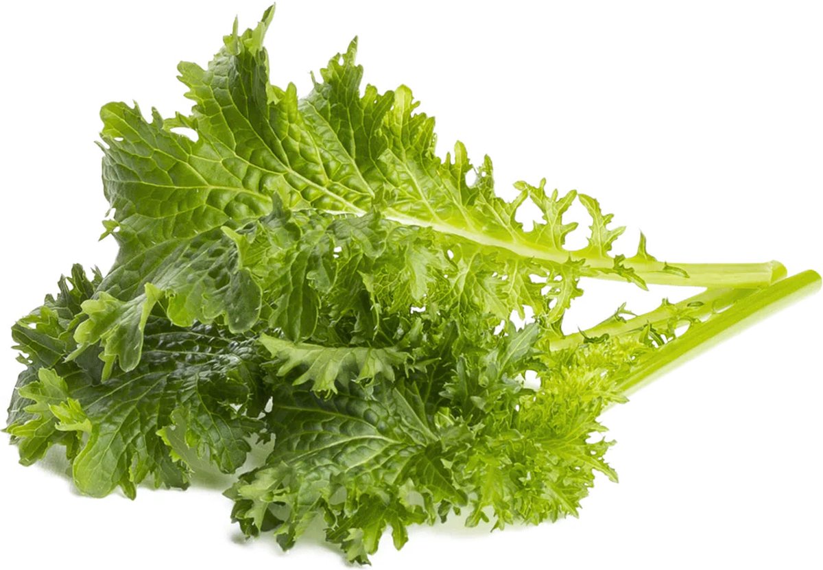 Click & Grow Wasabi mosterd / 3-pack – Voorgezaaide capsules voor slimme binnentuin