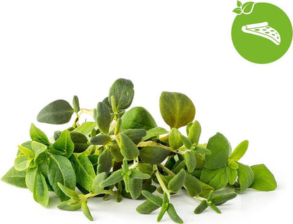 Click & Grow Navulling Italiaanse Kruidenmix – 9 Capsules (3x3) – Slimme Moestuin