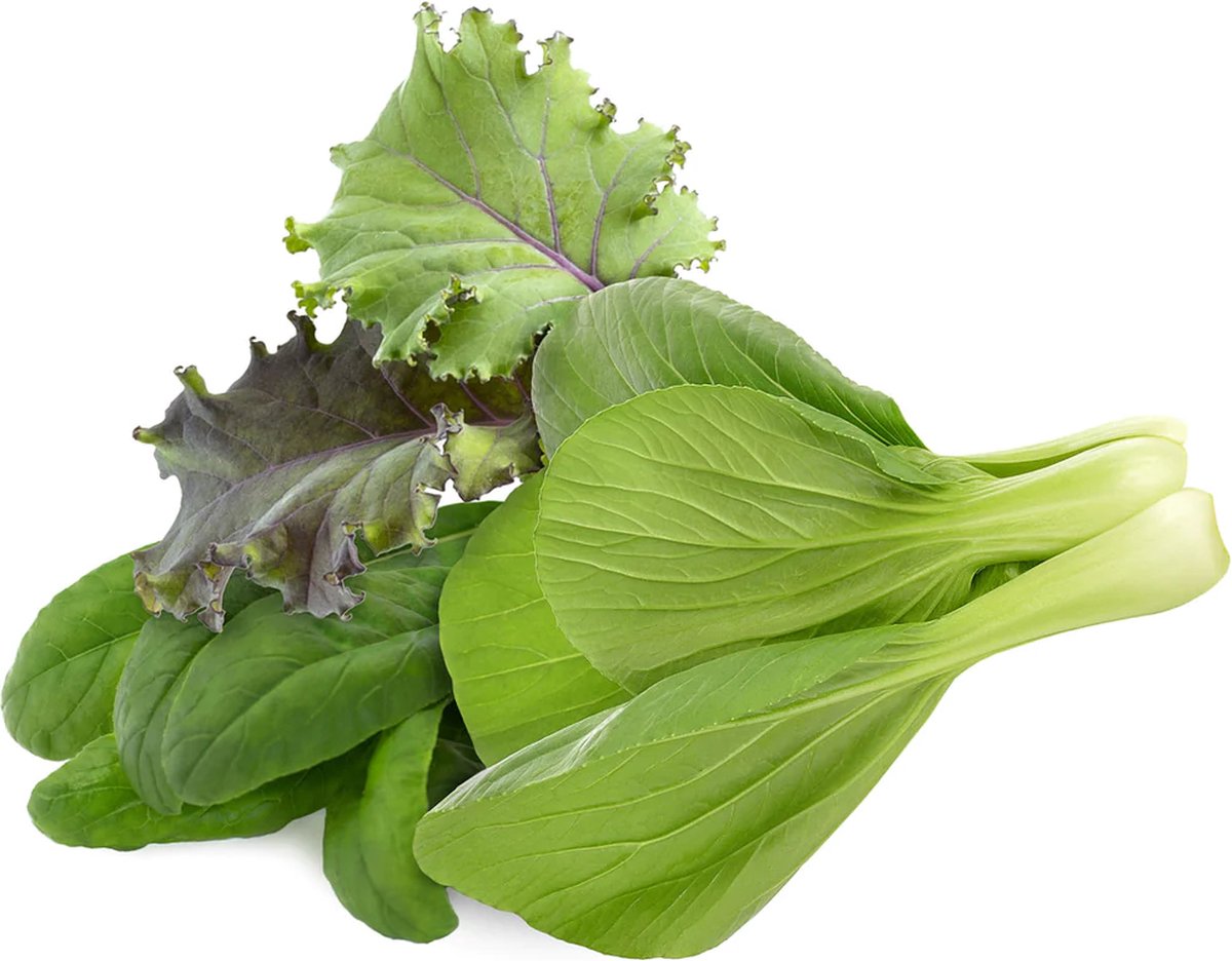 Click & Grow Navulling Zadenmix – Aziatische Keuken – 9 Capsules (3x3) – Slimme Moestuin