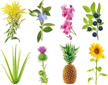 Click & Grow Grow Anything / 3-pack – Zelf te vullen plantencapsules voor slimme binnentuin