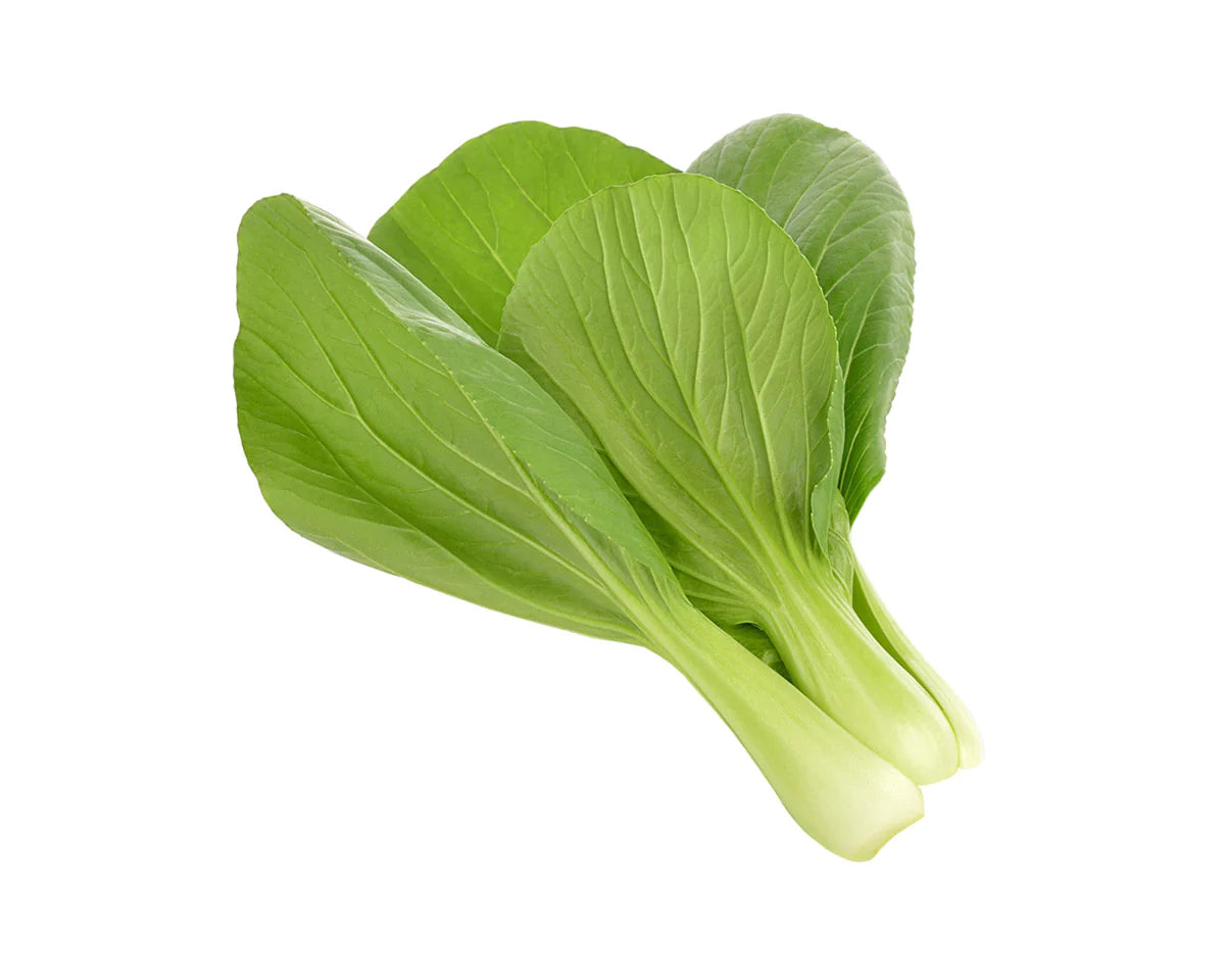 Click &amp; Grow Pak Choi / 3-pack