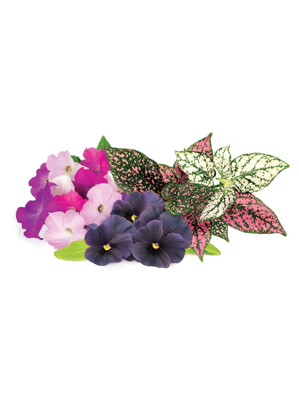 Click & Grow Navulling Kleurrijke Bloemenmix – 9 Capsules (3x3) – Slimme Moestuin