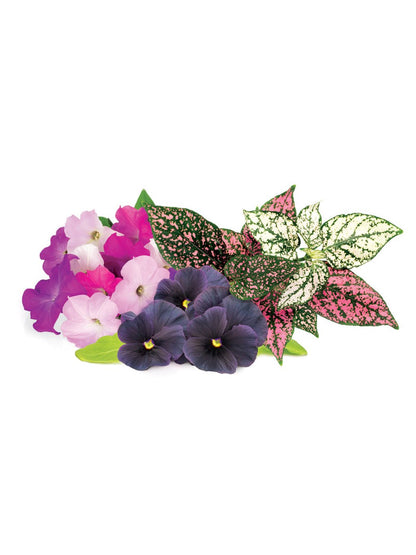 Click & Grow Navulling Kleurrijke Bloemenmix – 9 Capsules (3x3) – Slimme Moestuin