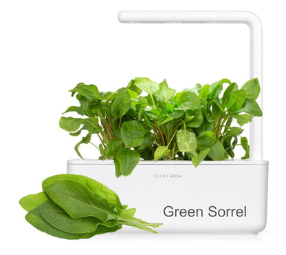 Click & Grow Navulling Salad Greens Mix – 9 Capsules (3x3) – Slimme Moestuin