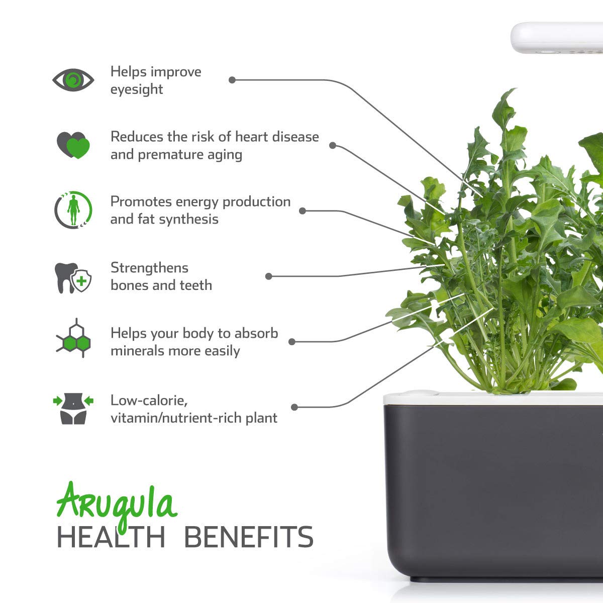 Click & Grow Rucola / 3-pack – Voorgezaaide capsules voor slimme binnentuin