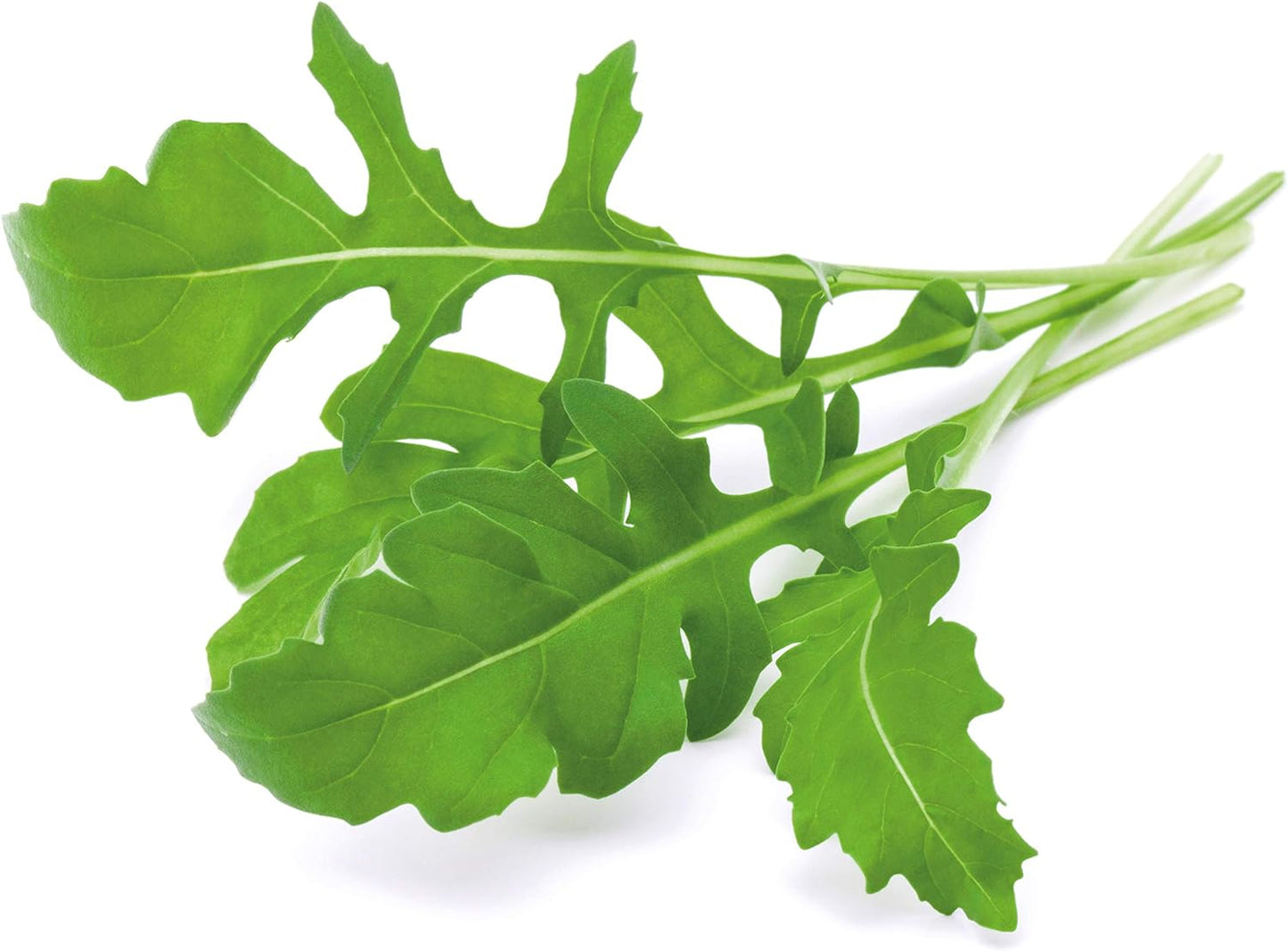 Click & Grow Arugula / 3-pack