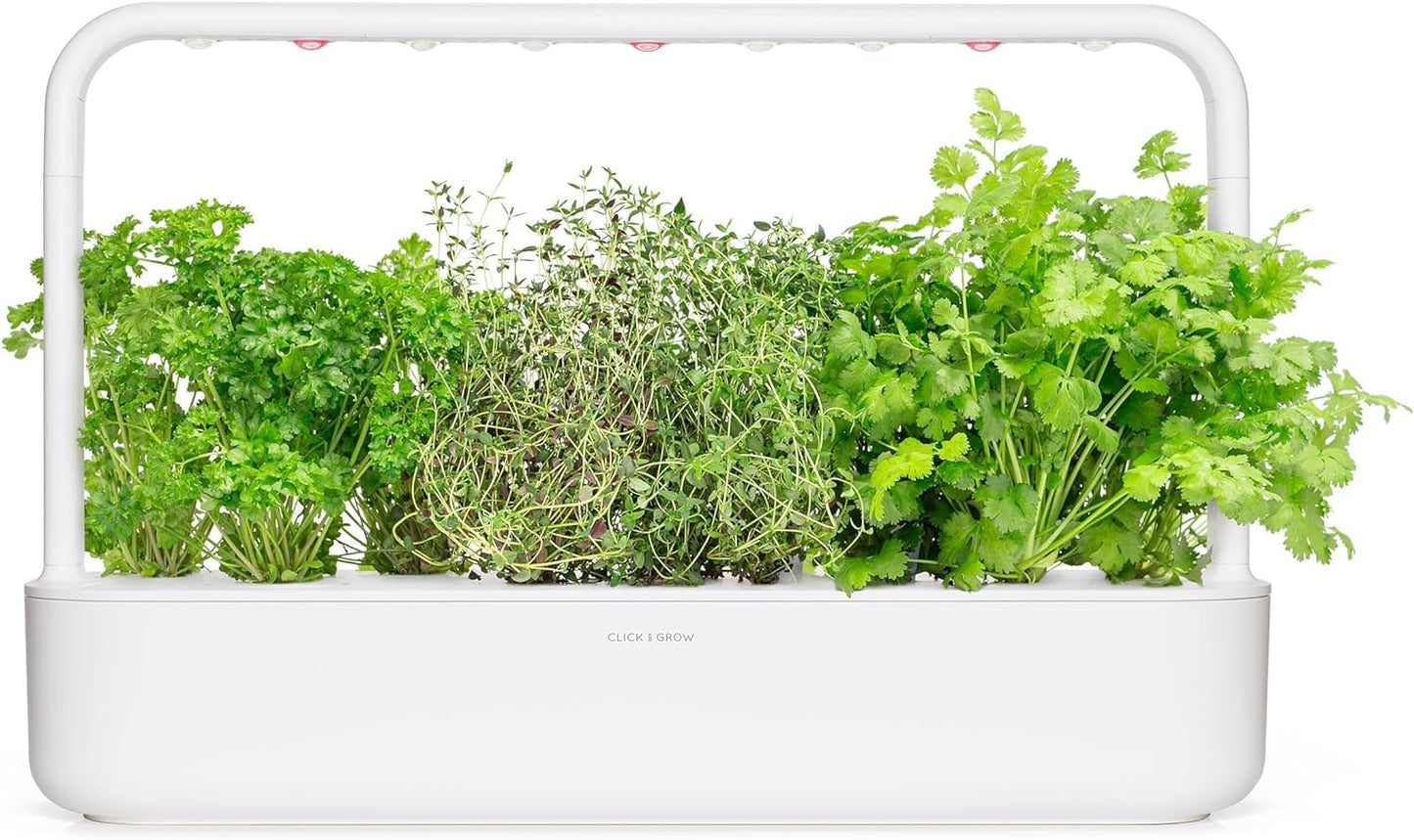 Click & Grow Recharge Mix Herbes pour Viandes – 9 Capsules (3x3) pour Jardin Intelligent