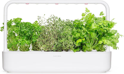 Click & Grow Recharge Mix Herbes pour Viandes – 9 Capsules (3x3) pour Jardin Intelligent