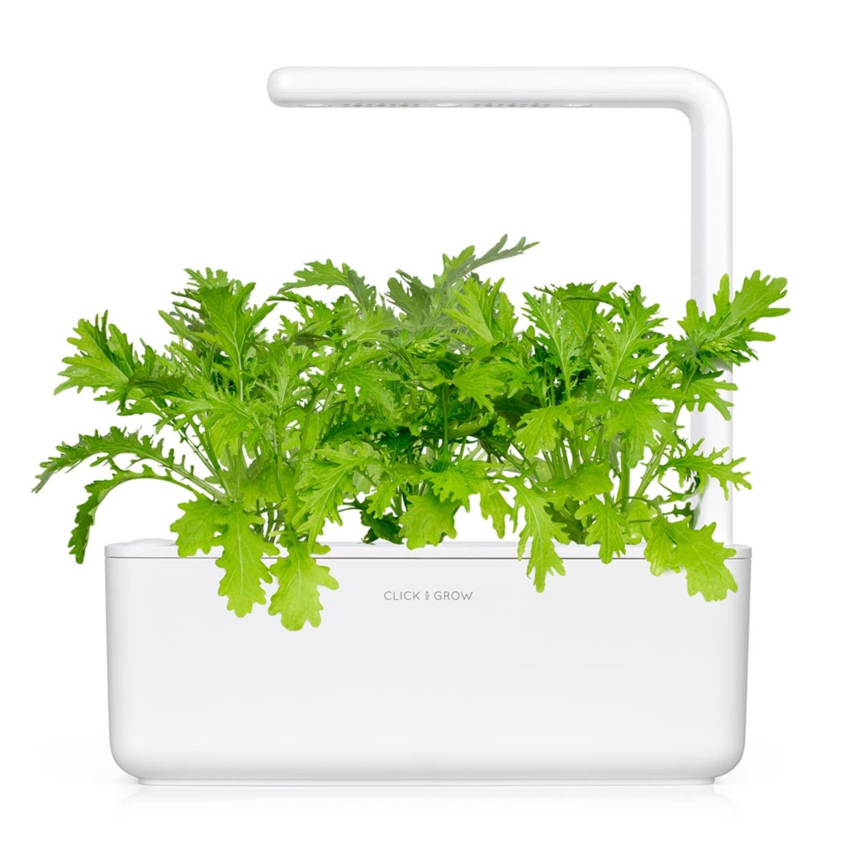 Click & Grow Bladmosterd / 3-pack – Voorgezaaide capsules voor slimme binnentuin