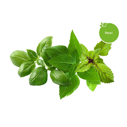 Click & Grow Navulling Basilicum Mix – 9 Capsules (3x3) – Slimme Moestuin