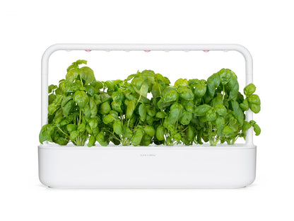 Click & Grow Basilikum / 3er-Pack – Vorgekeimte Kräuterkapseln für Indoor-Garten