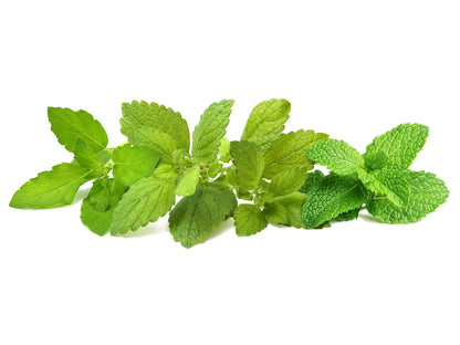 Click & Grow Navulling Kalmerende Theemix – 9 Capsules (3x3) – Slimme Moestuin