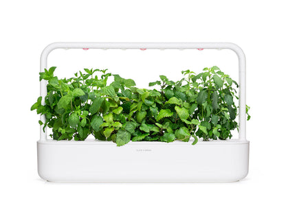 Click & Grow Navulling Kalmerende Theemix – 9 Capsules (3x3) – Slimme Moestuin