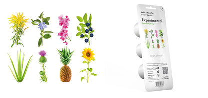 Click & Grow Grow Anything / 3-pack – Zelf te vullen plantencapsules voor slimme binnentuin