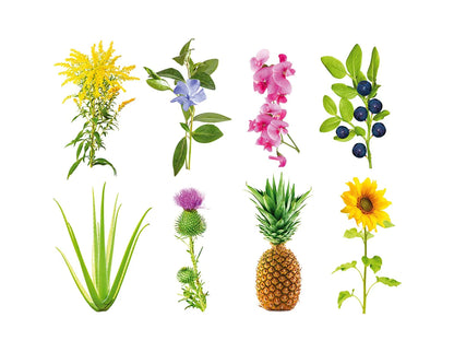 Click &amp; Grow Alles anbauen / 3er-Pack