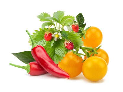 Click & Grow Navulling Fruit- en Groentemix – 9 Capsules (3x3) – Slimme Moestuin