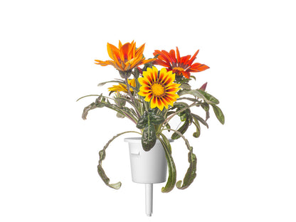Click & Grow Gazania / 3-pack – Voorgezaaide bloeicapsules voor slimme binnentuin