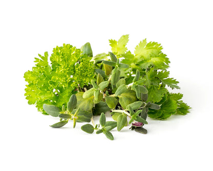 Click & Grow Steak Seasoning Mix 9-pack