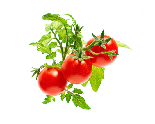 Click &amp; Grow Mini-Tomate / 3er-Pack