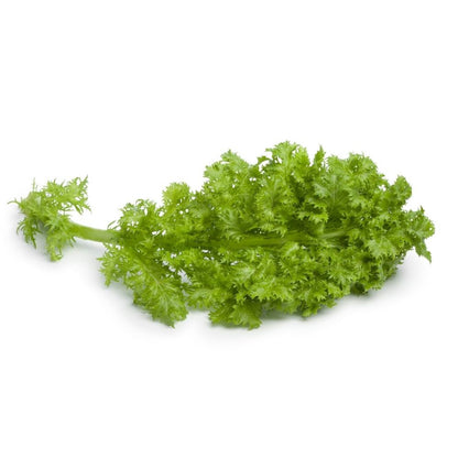 Click & Grow Wasabi mosterd / 3-pack – Voorgezaaide capsules voor slimme binnentuin