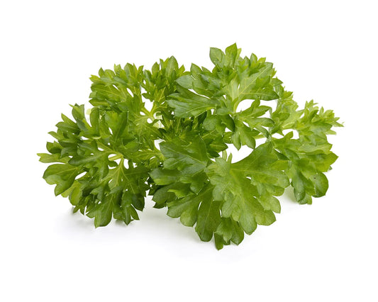 Click &amp; Grow Parsley / 3-pack