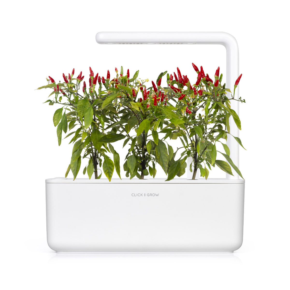 Click & Grow Piri piri chilipeper / 3-pack – Voorgezaaide capsules voor slimme binnentuin